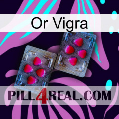 Gold Vigra 15